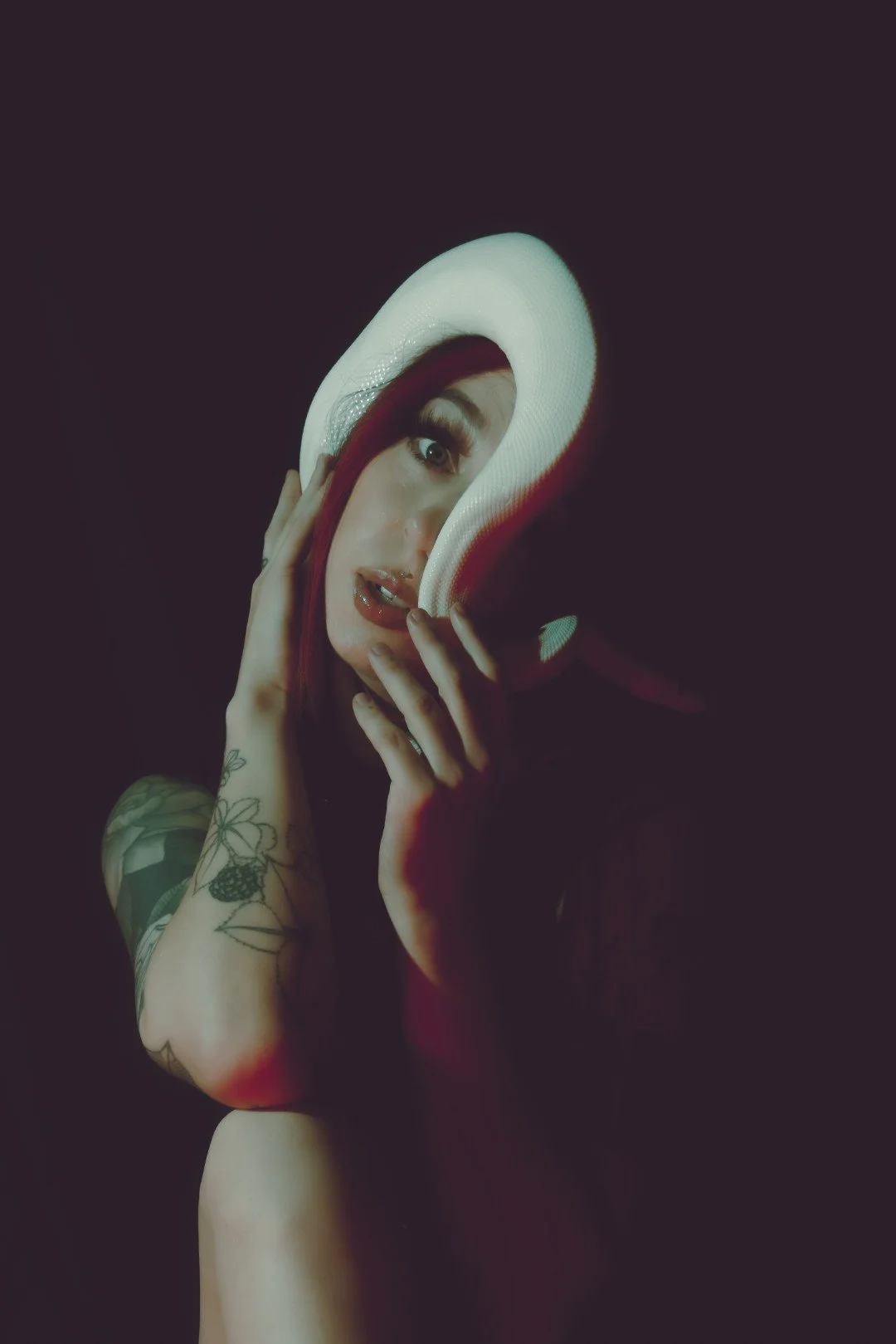 Nyx and Zuzu-28 (Large).JPG