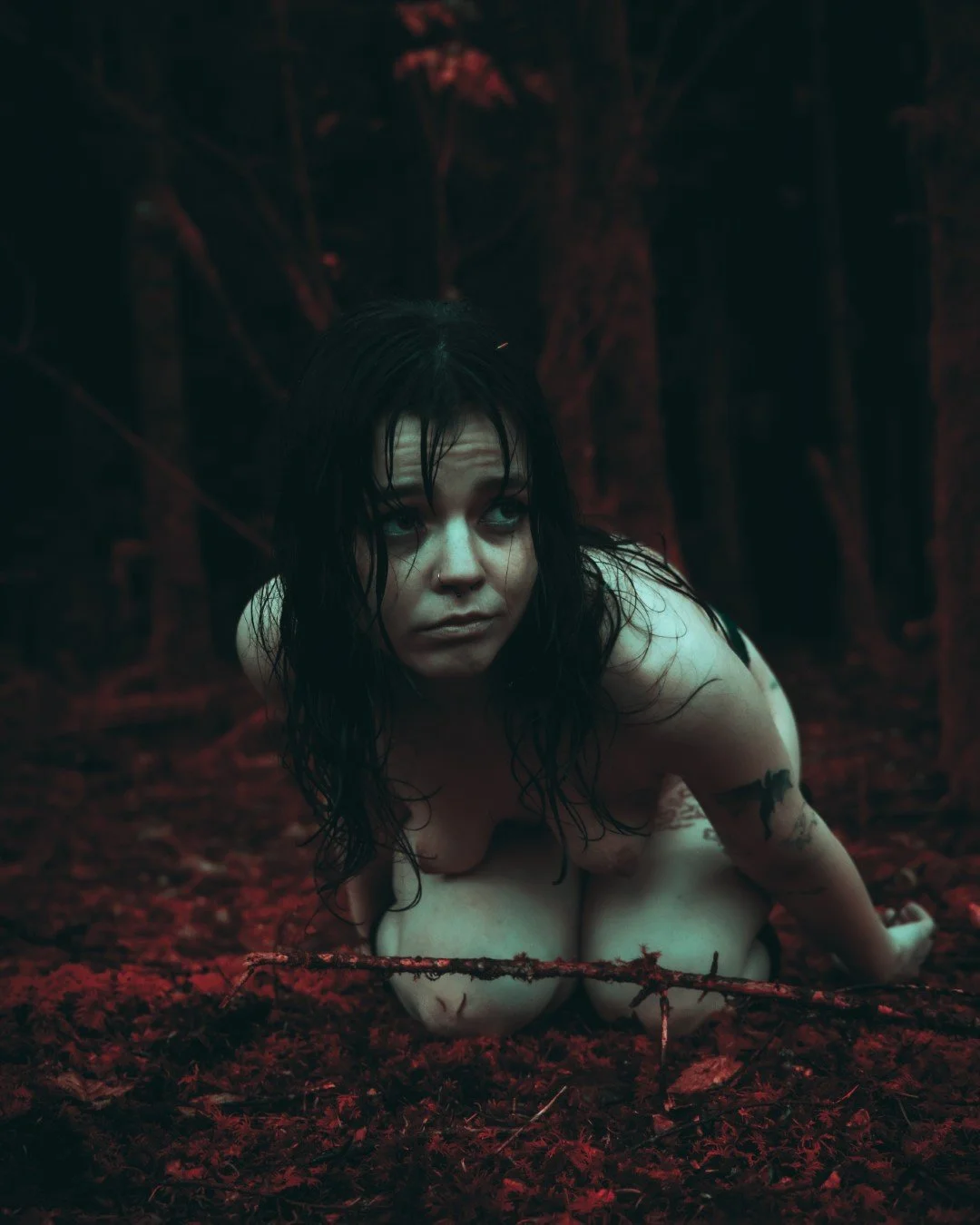 alexis tv-44 (Large).JPG