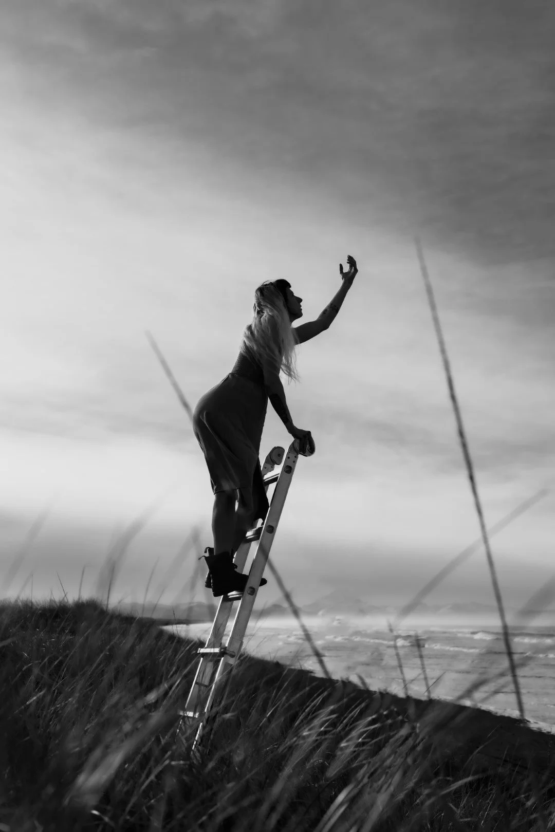 ladder-1 (Large).JPG