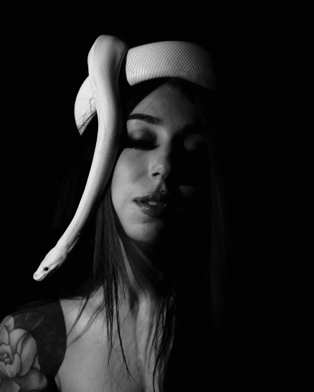 Nyx and Zuzu-65 (Large).JPG