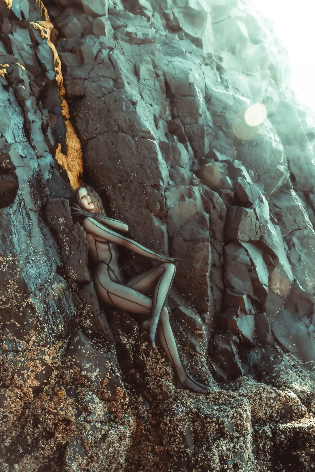 Squid beach-57 (Large).JPG