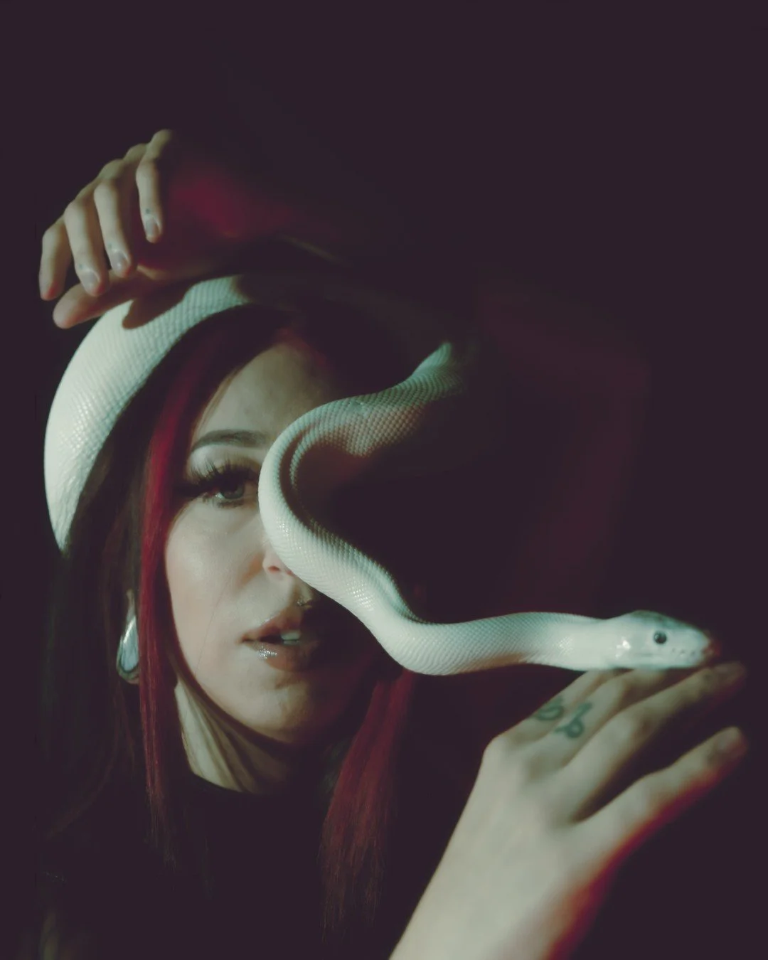 Nyx and Zuzu-19 (Large).JPG