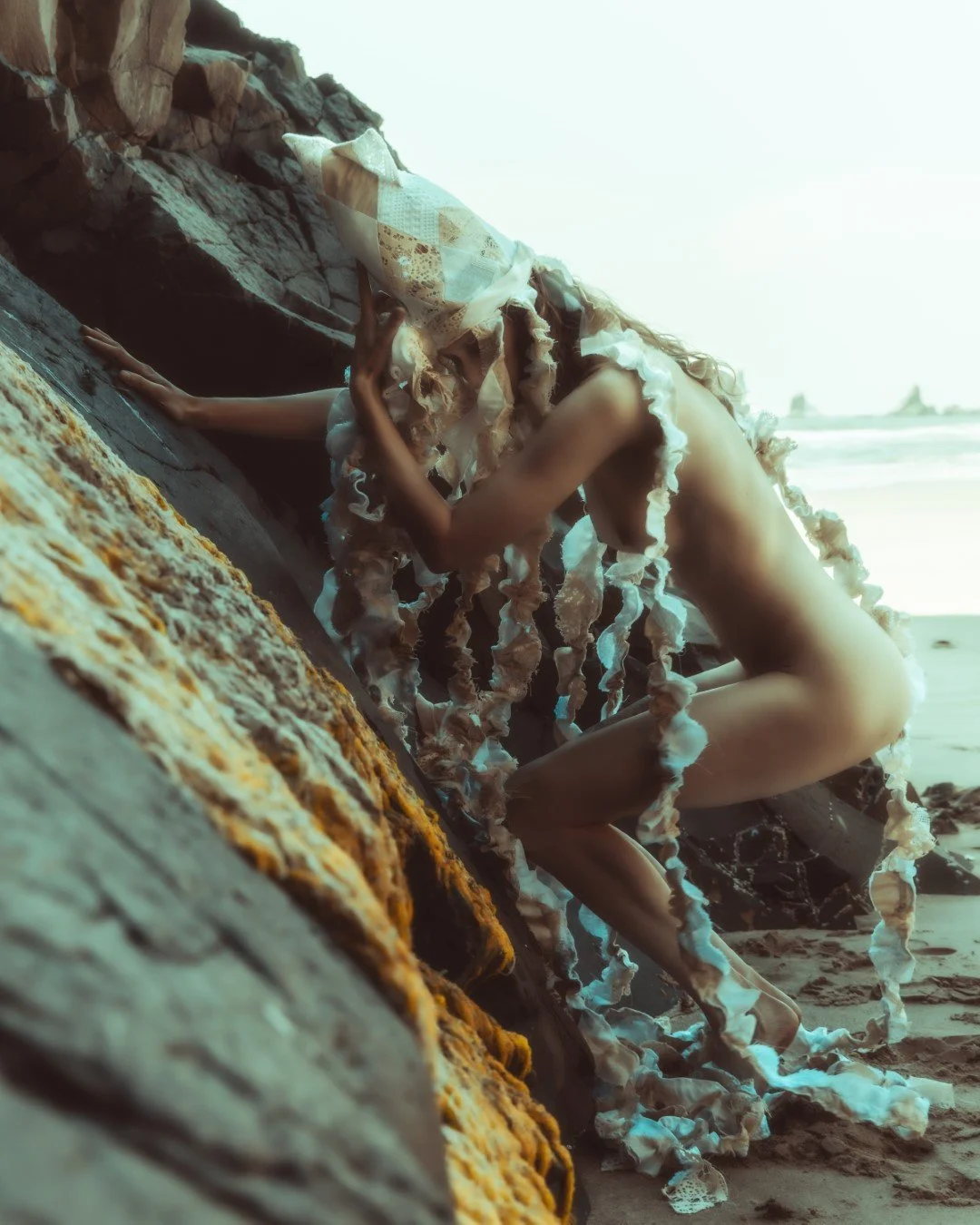 Squid beach-68 (Large).JPG