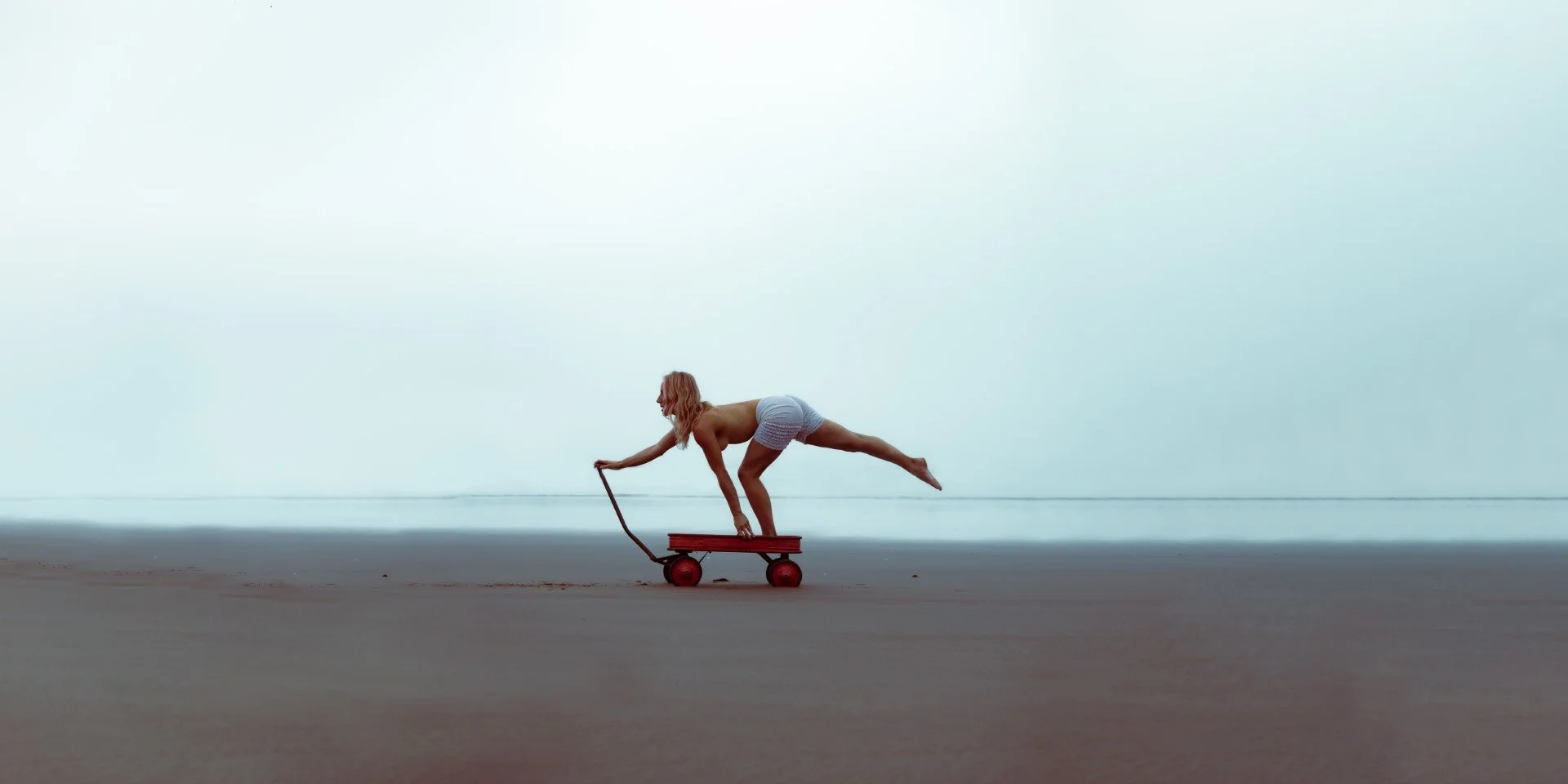 wagon-22 (Large).JPG