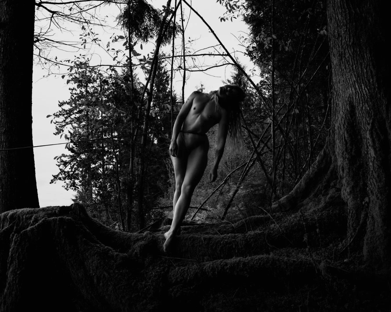 Burdened-45 (Large).JPG