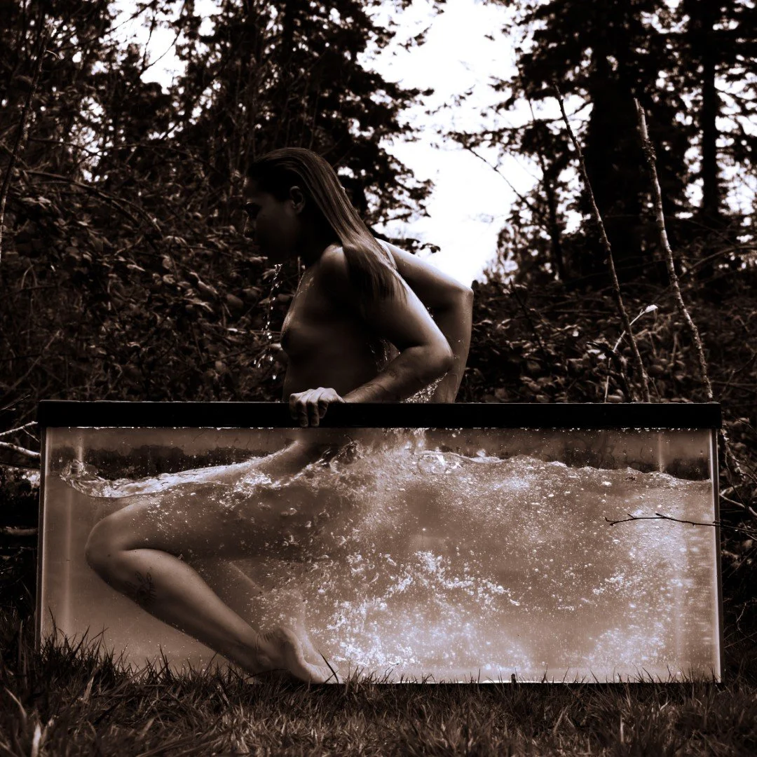 Shy Tank-68 (Large).JPG