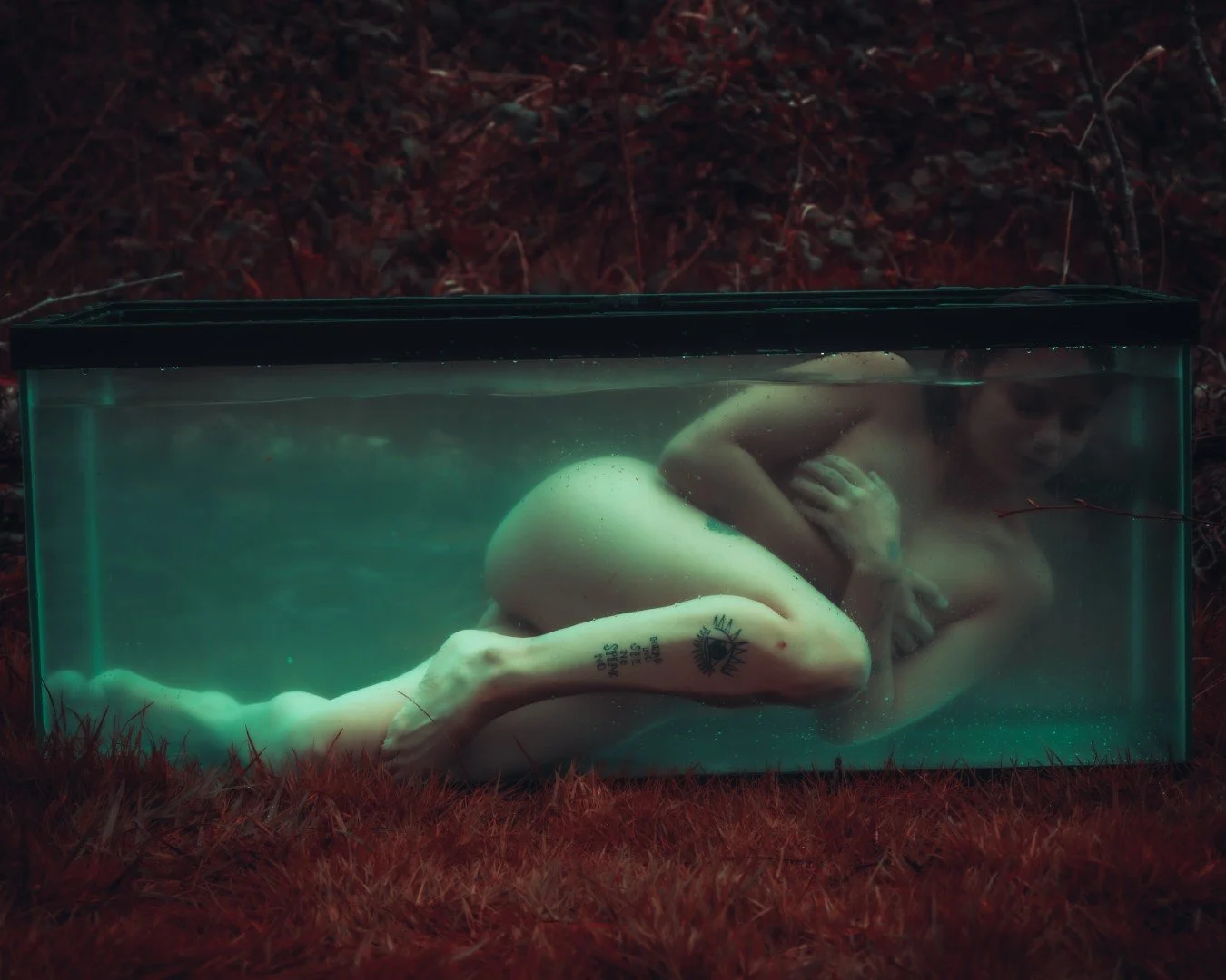 Shy Tank-56 (Large).JPG