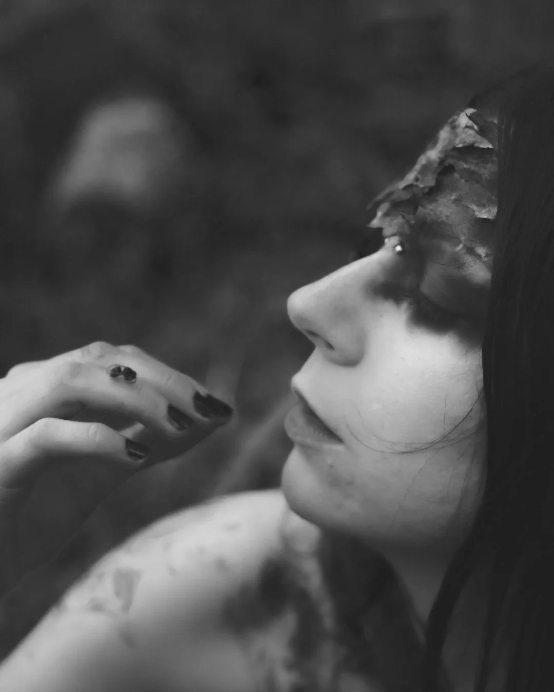 Zander wasp -2 (Large).JPG