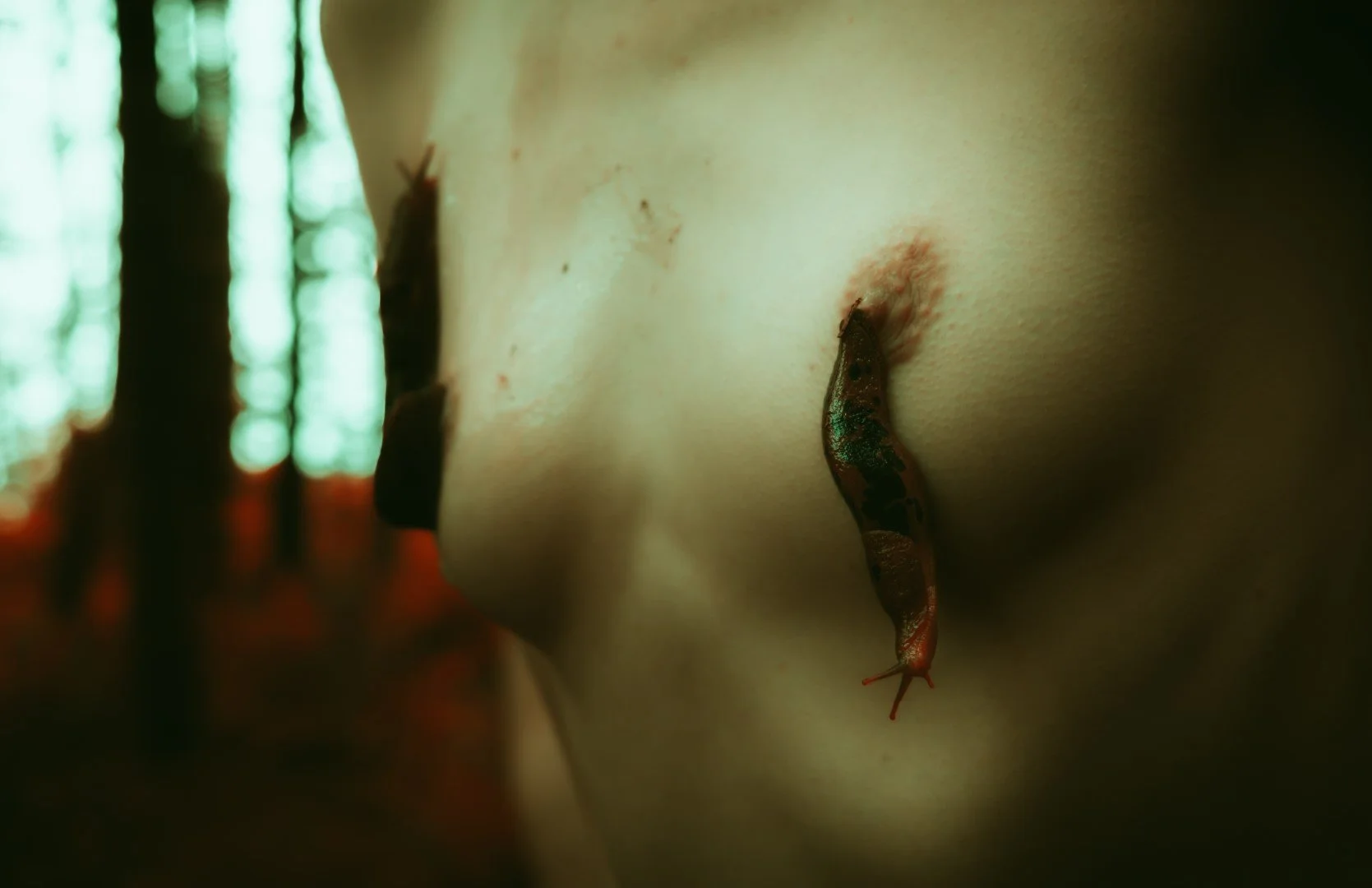 Slug scapes-13 (Large).JPG