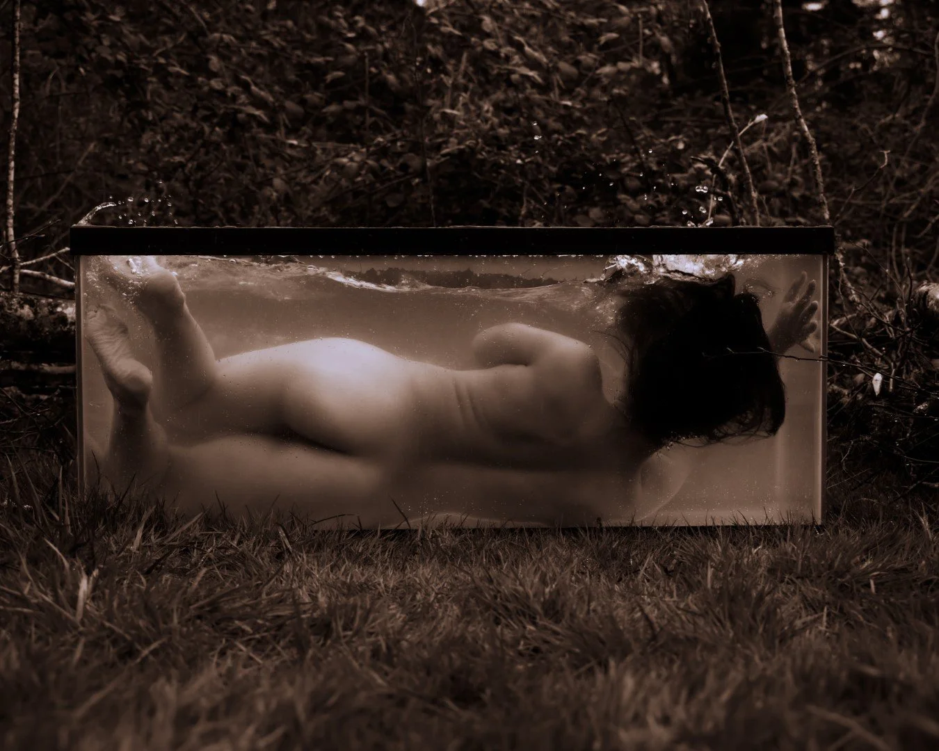 Shy Tank-64 (Large).JPG