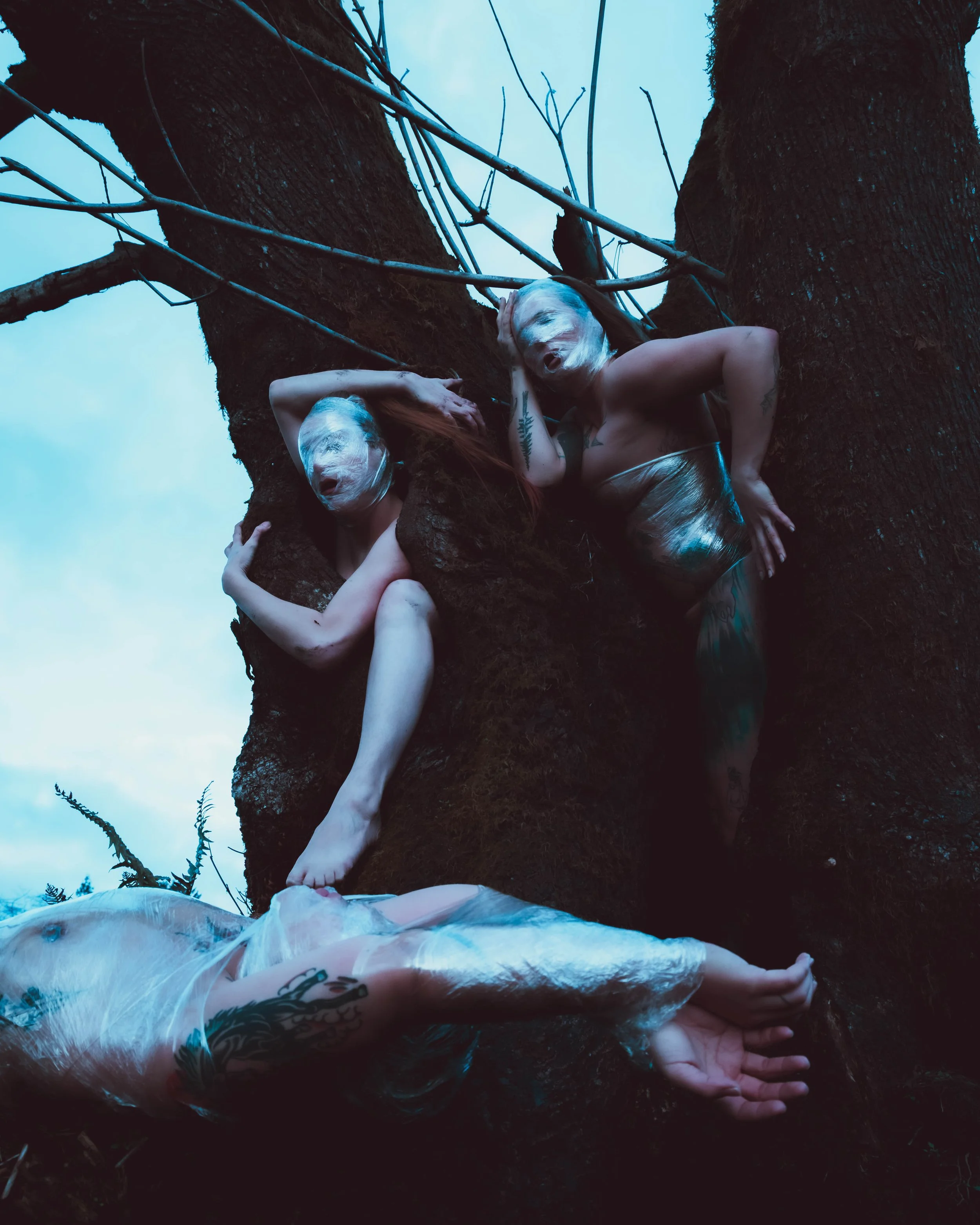 Saran Wrap Tree-11.jpg