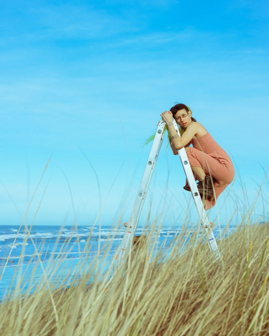 ladder-8 (Large).JPG