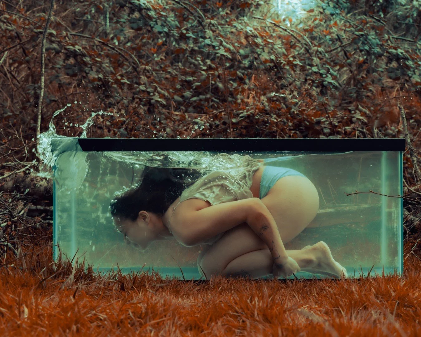 Shy Tank-21 (Large).JPG