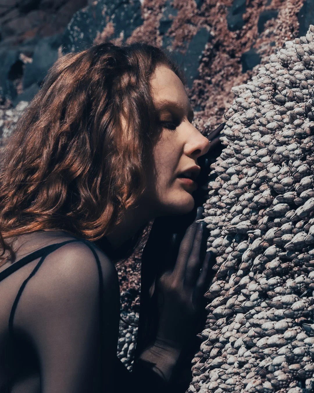 Squid beach-48 (Large).JPG