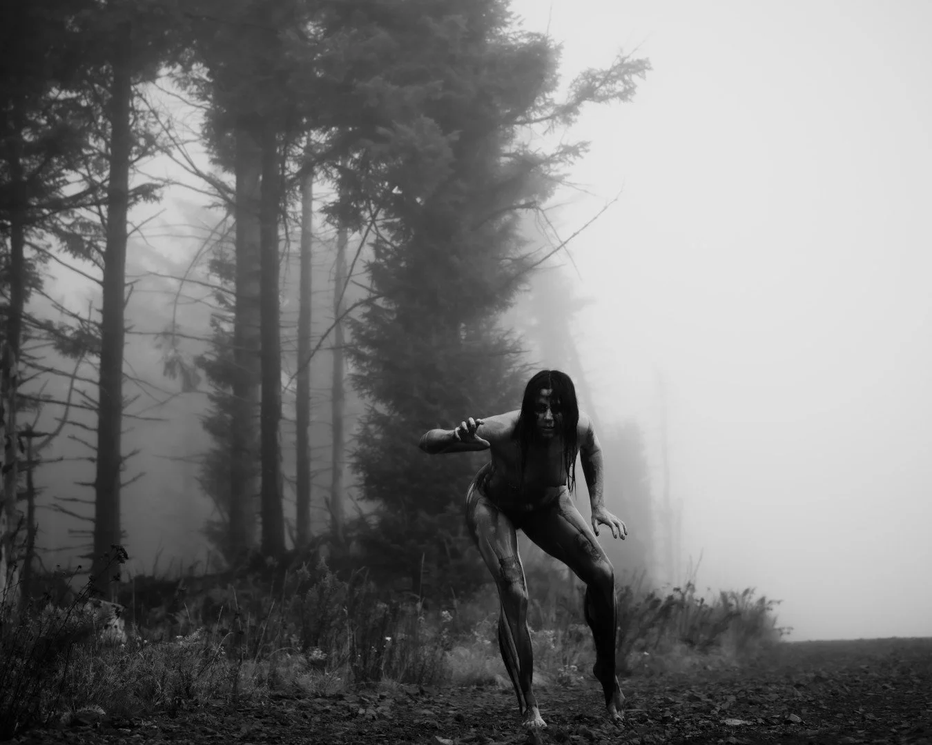 Zander wasp -27 (Large).JPG