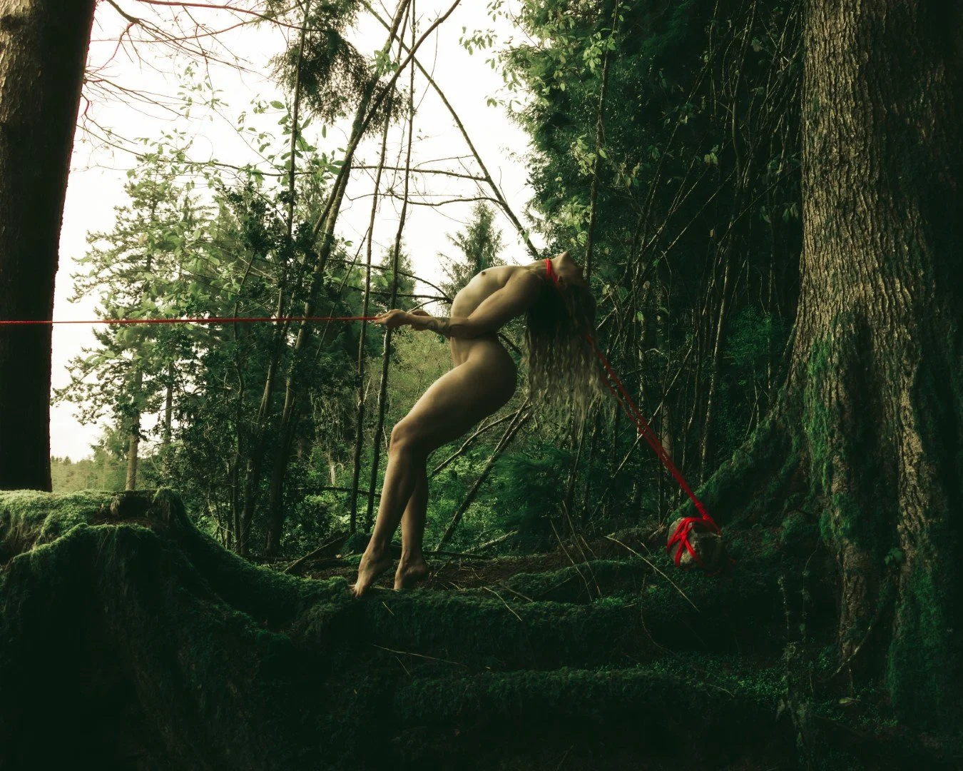 Burdened-6 (Large).JPG