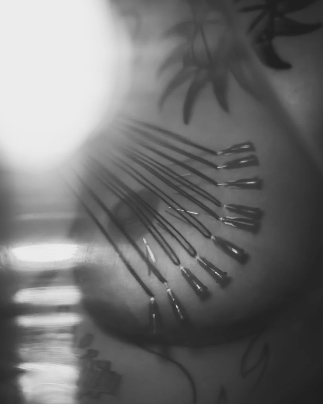 Sin needles-34 (Large).JPG