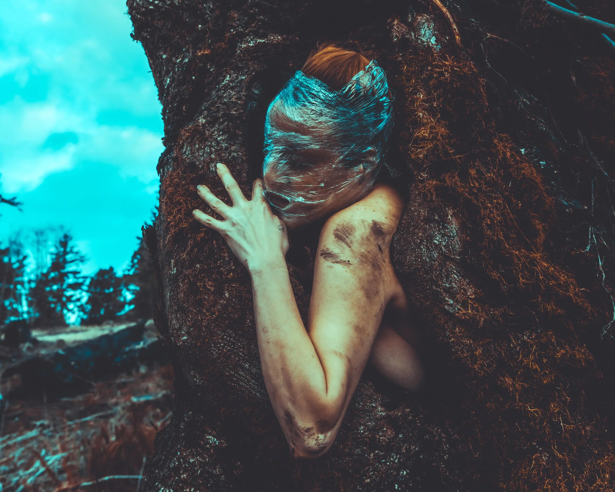 Saran Wrap Tree-23.jpg