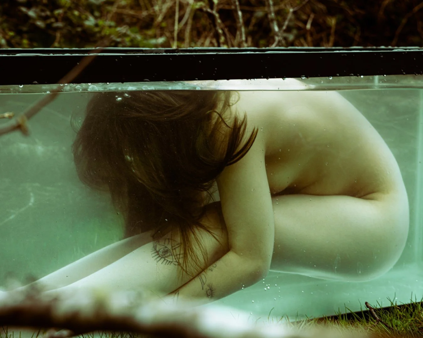 Shy Tank-43 (Large).JPG