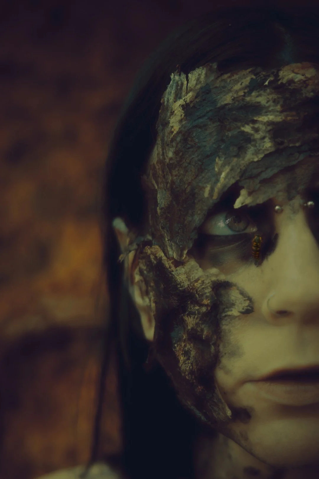 Zander wasp -1 (Large).JPG