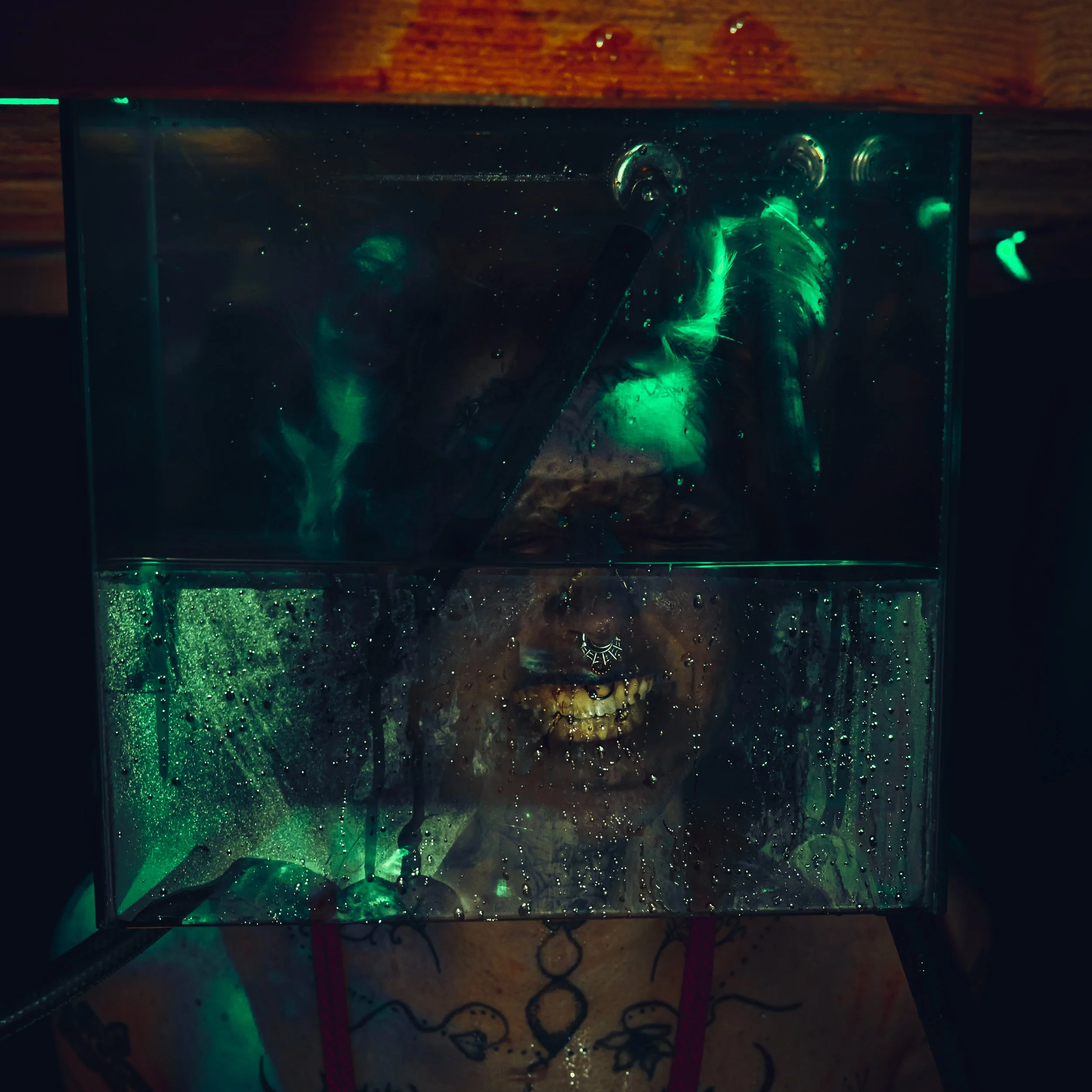 Alice rope and tubes-20.JPG