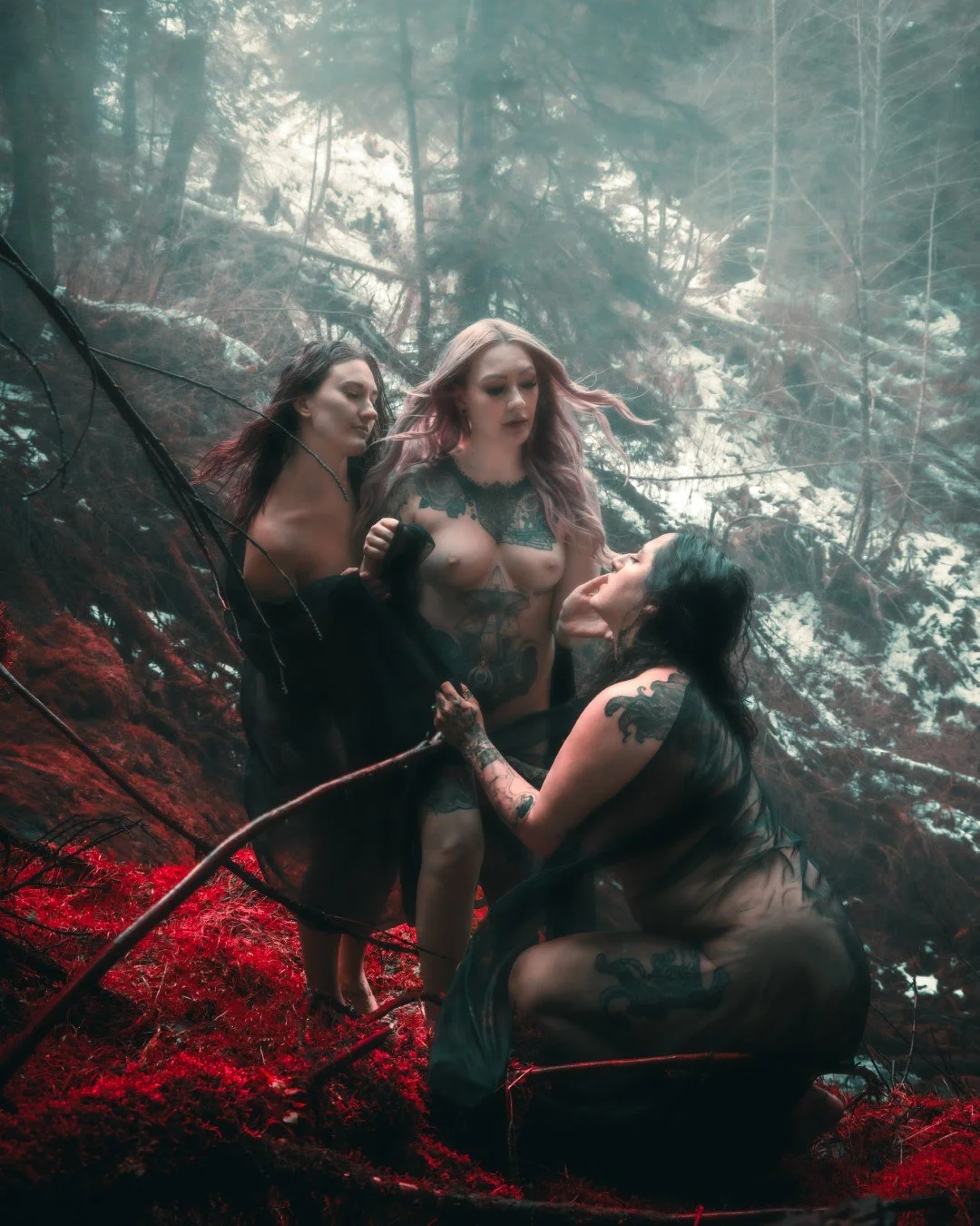 gnat falls snow-7 (Large).JPG