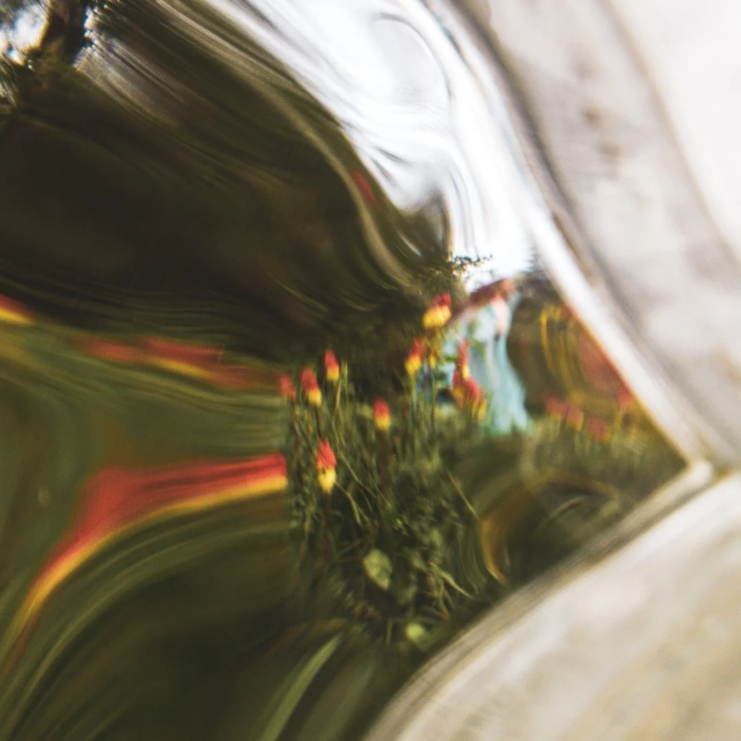 Sarah Yard-17 (Large).JPG