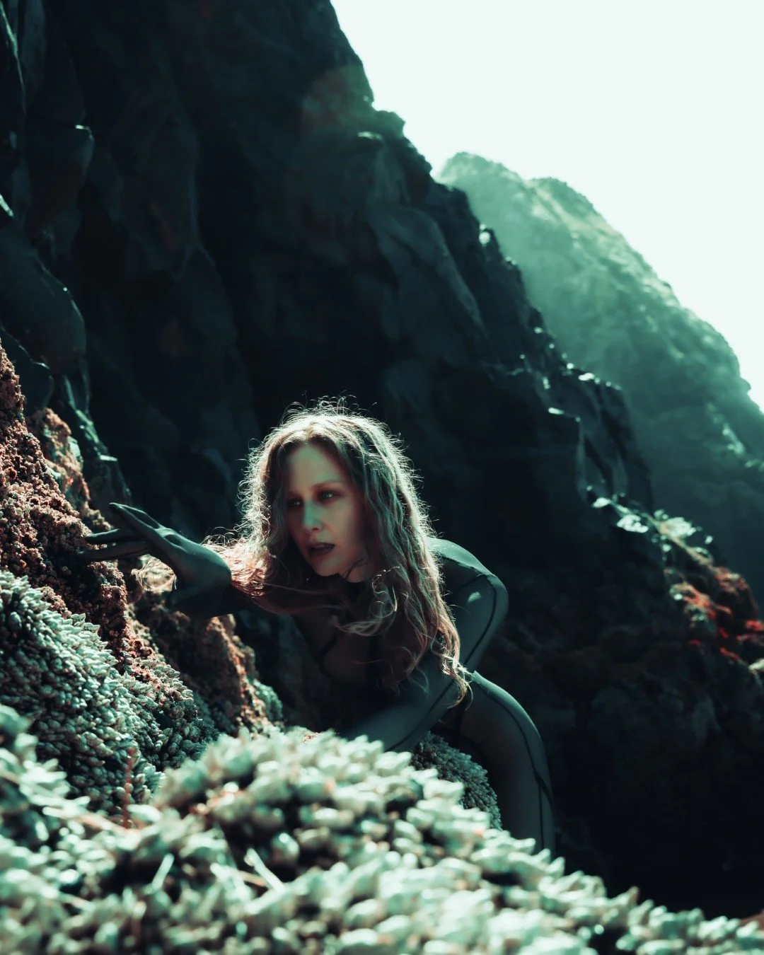 Squid beach-31 (Large).JPG