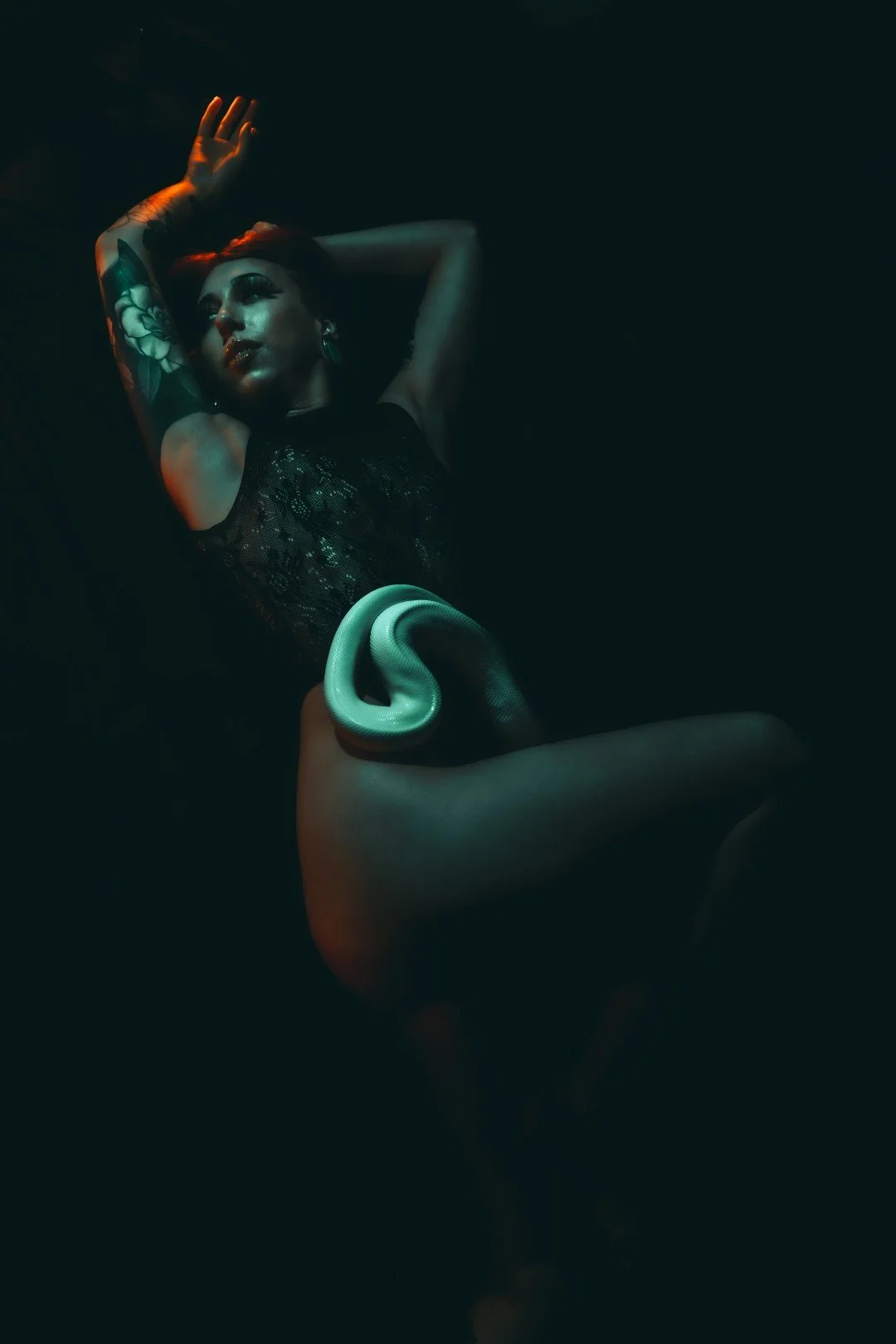 Nyx and Zuzu-17 (Large).JPG