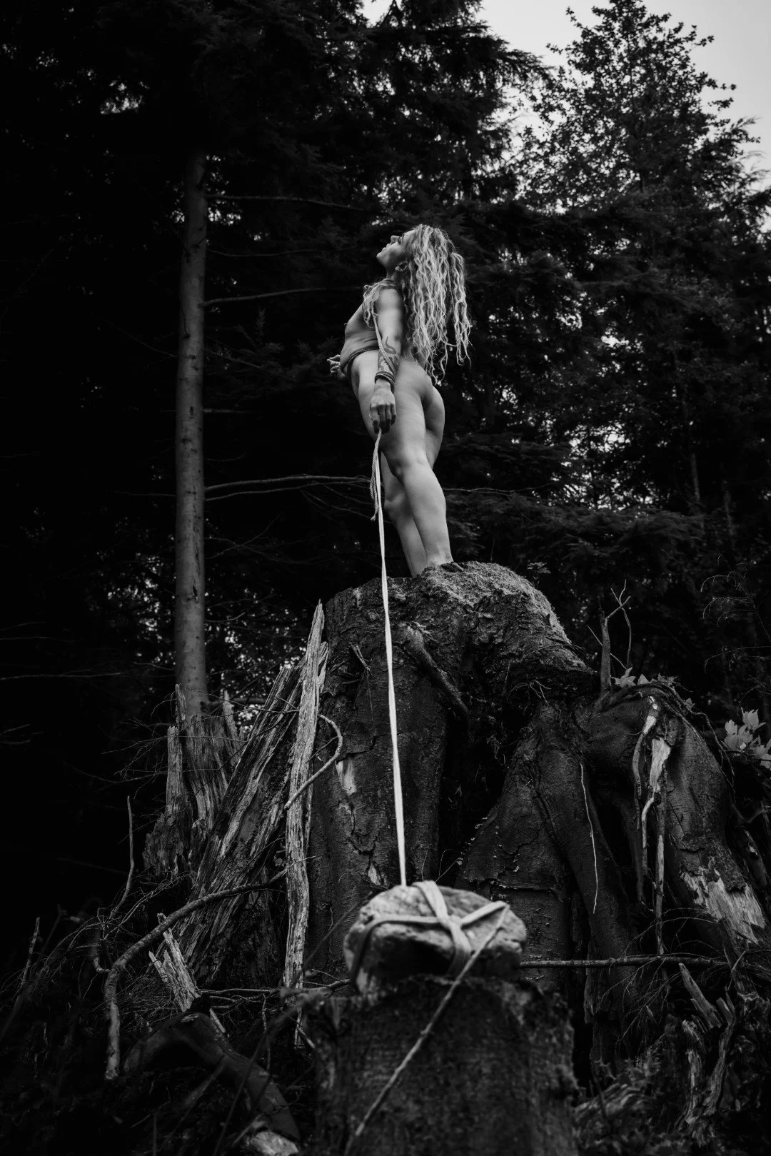 Burdened-5 (Large).JPG