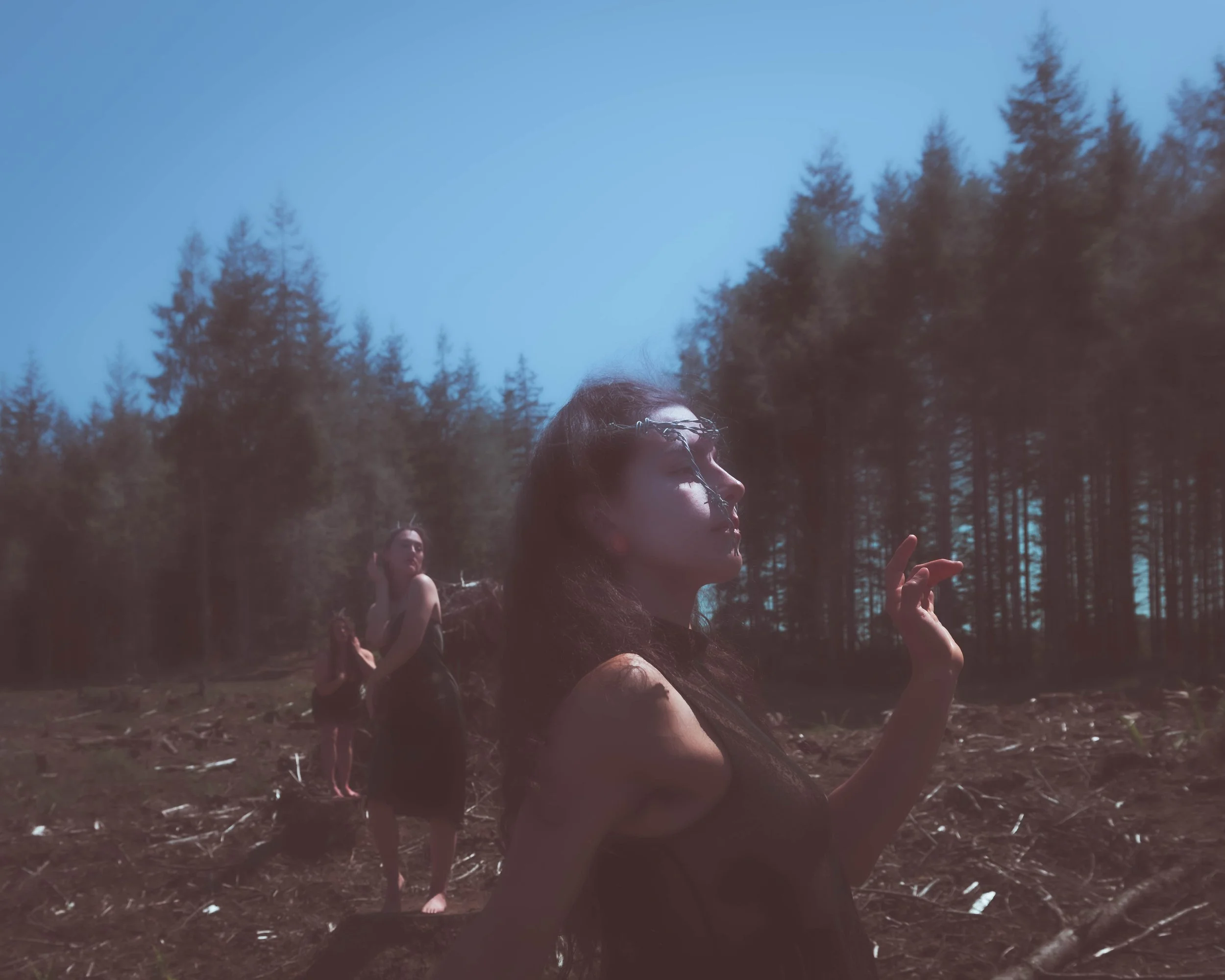 Barbedwire crown-5.jpg