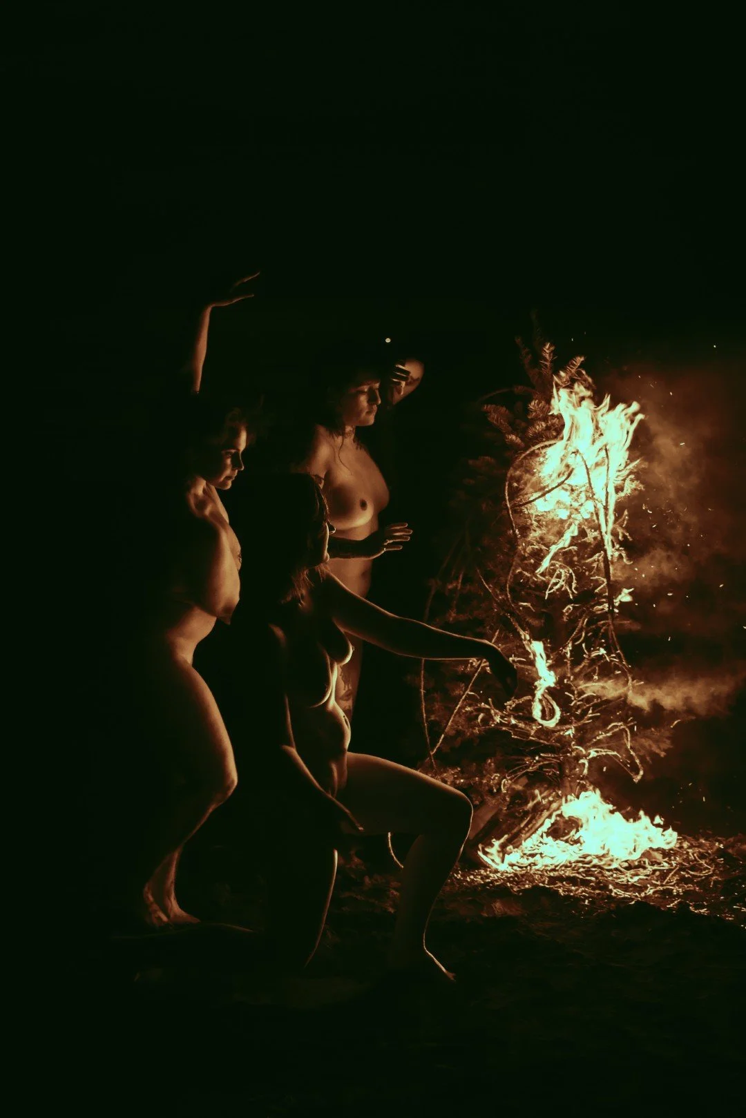 Beach Tree Fire-17 (Large).JPG