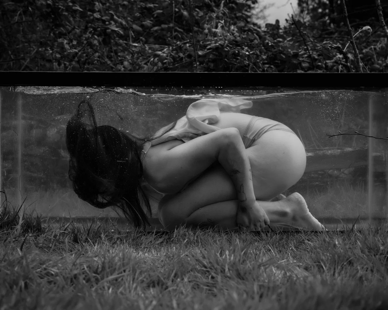 Shy Tank-23 (Large).JPG