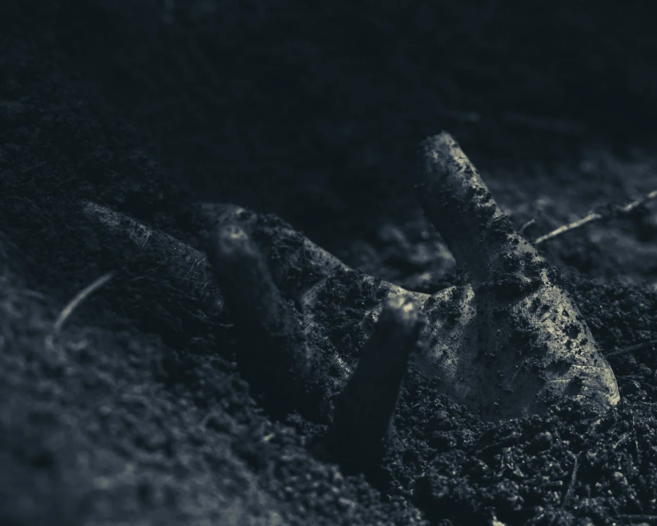 Emergence-33 (Large).JPG