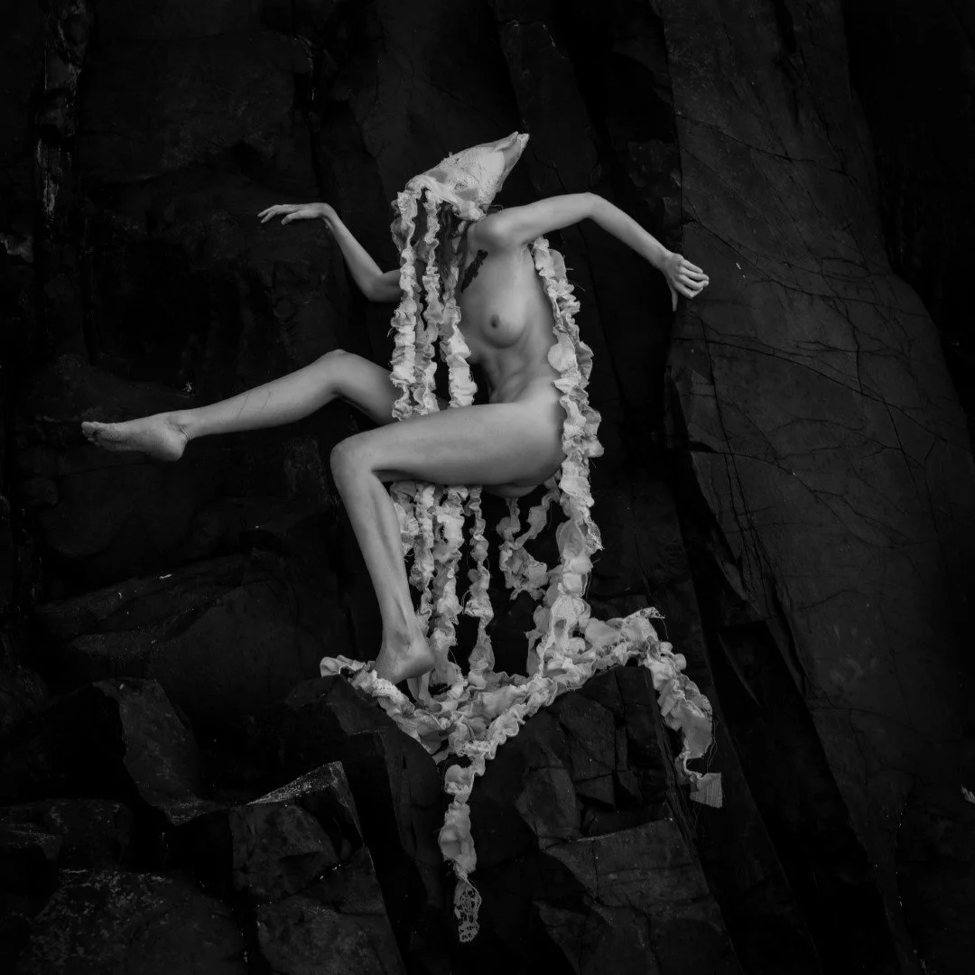 Squid beach-83 (Large).JPG