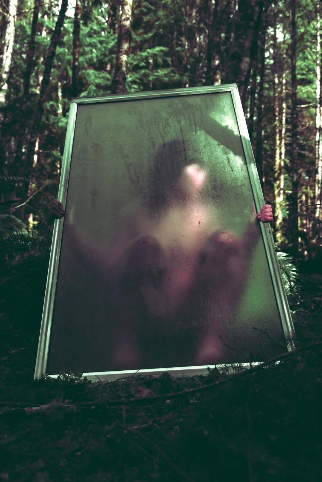 Forest Shower-37 (Large).JPG