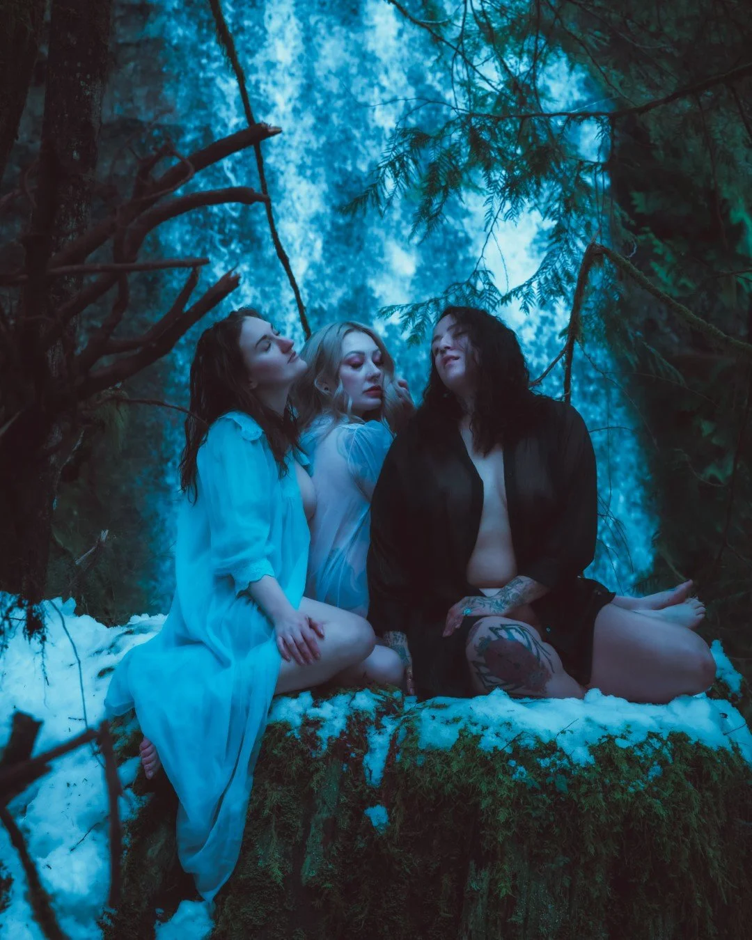 gnat falls snow-4 (Large).JPG