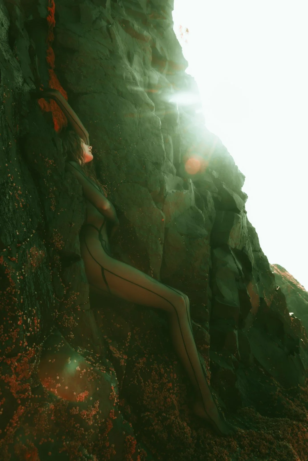 Squid beach-51 (Large).JPG