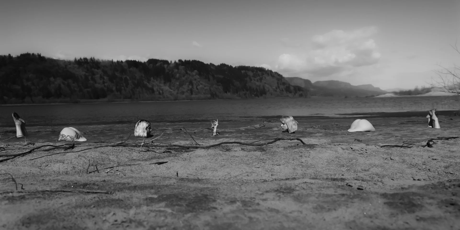 Rooster Rock Pieces-2 (Large).JPG