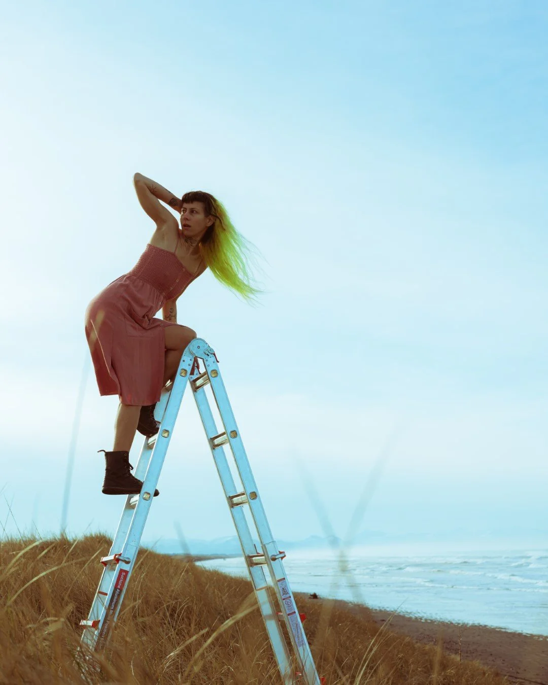 ladder-6 (Large).JPG