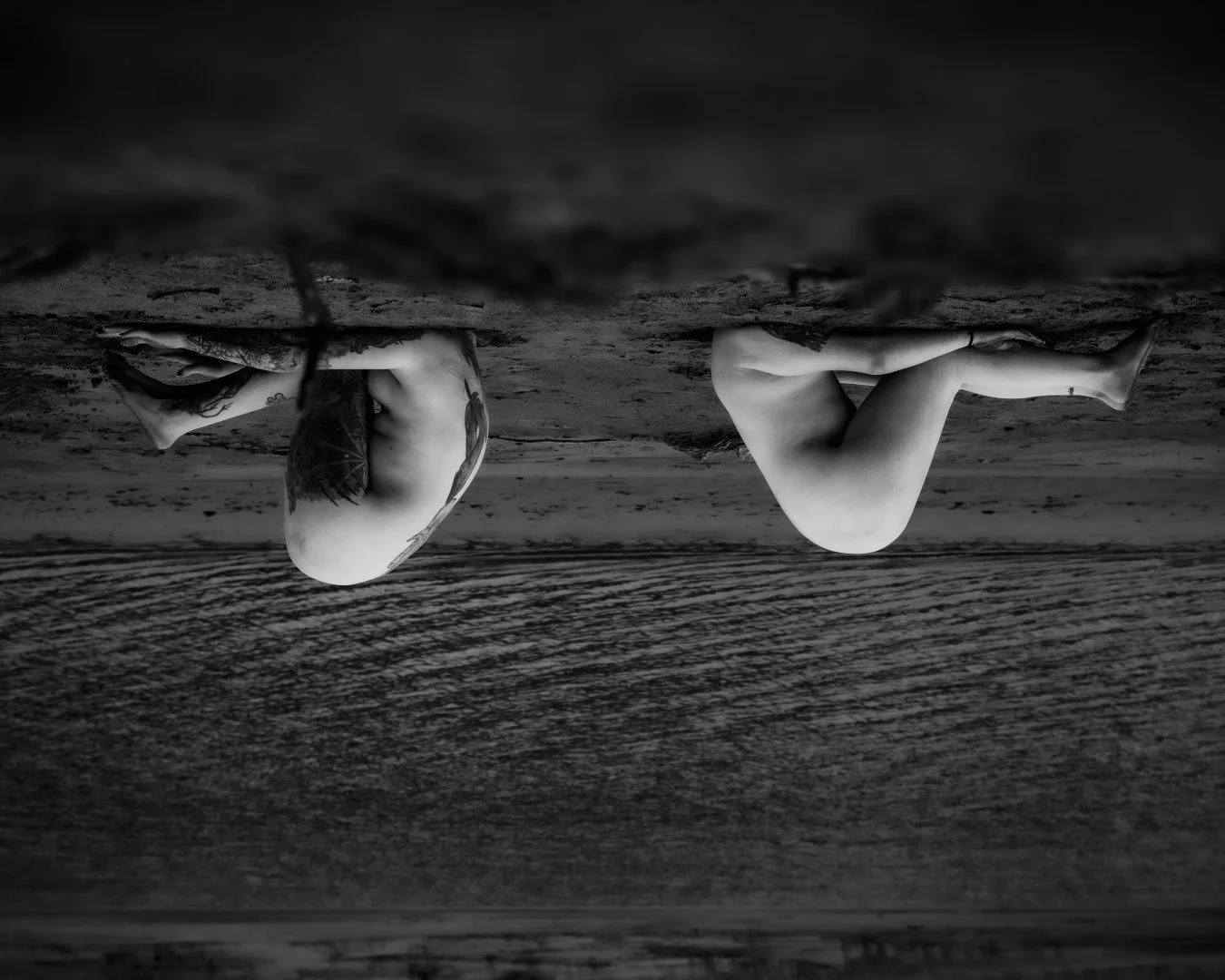 Rooster rock-88 (Large).JPG