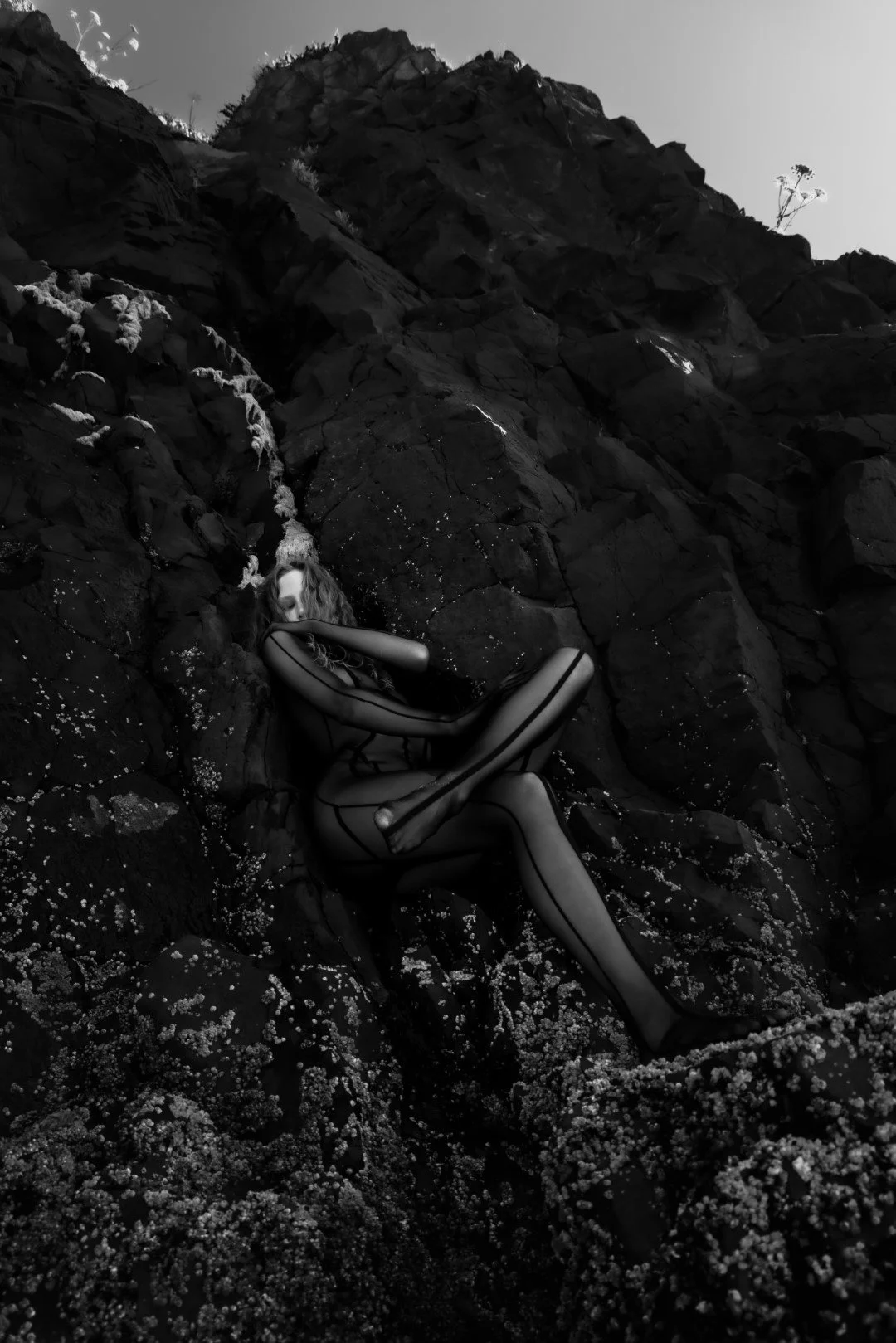 Squid beach-56 (Large).JPG