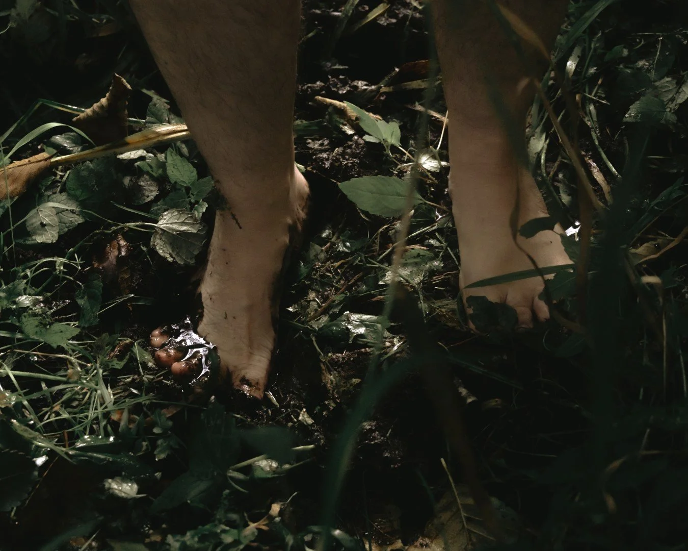 Enduring-39 (Large).JPG