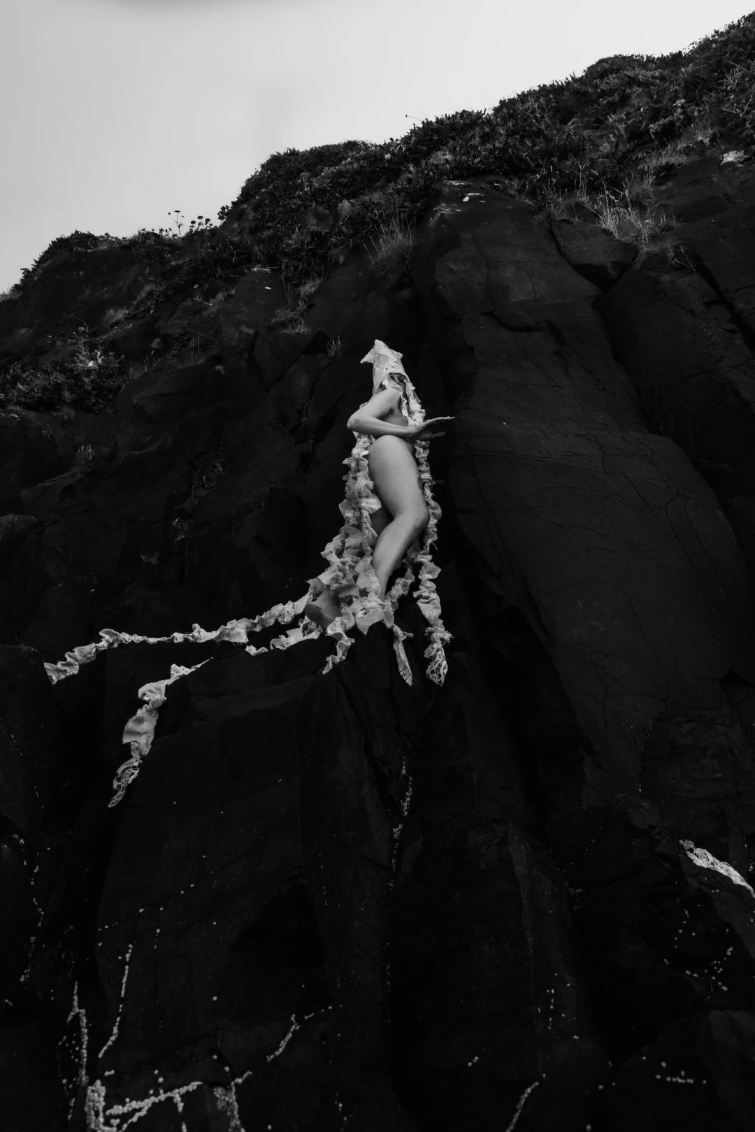 Squid beach-77 (Large).JPG