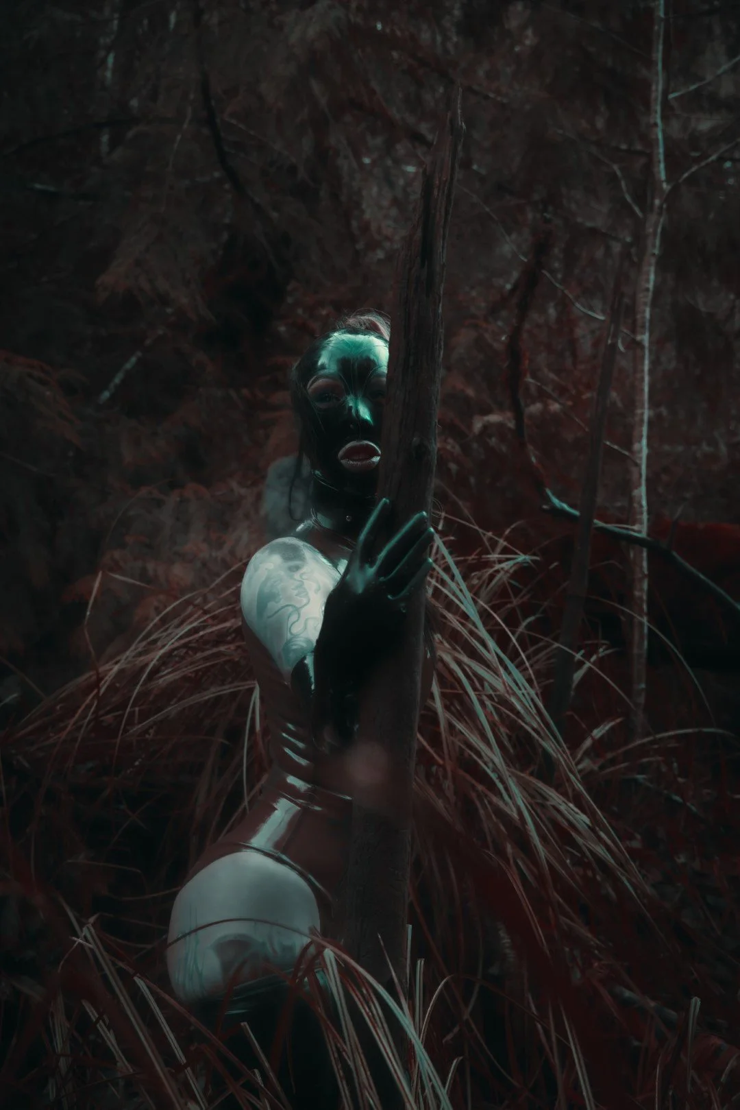 Dani Latex-36 (Large).JPG