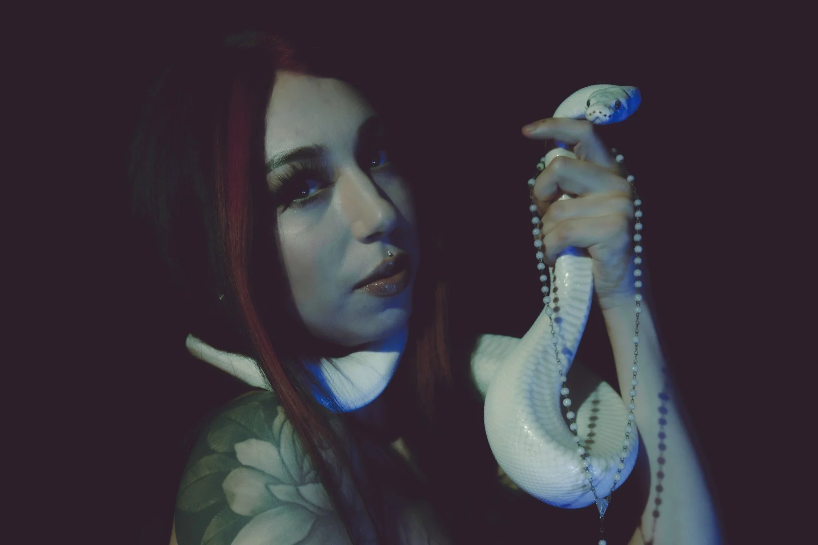 Nyx and Zuzu-48 (Large).JPG