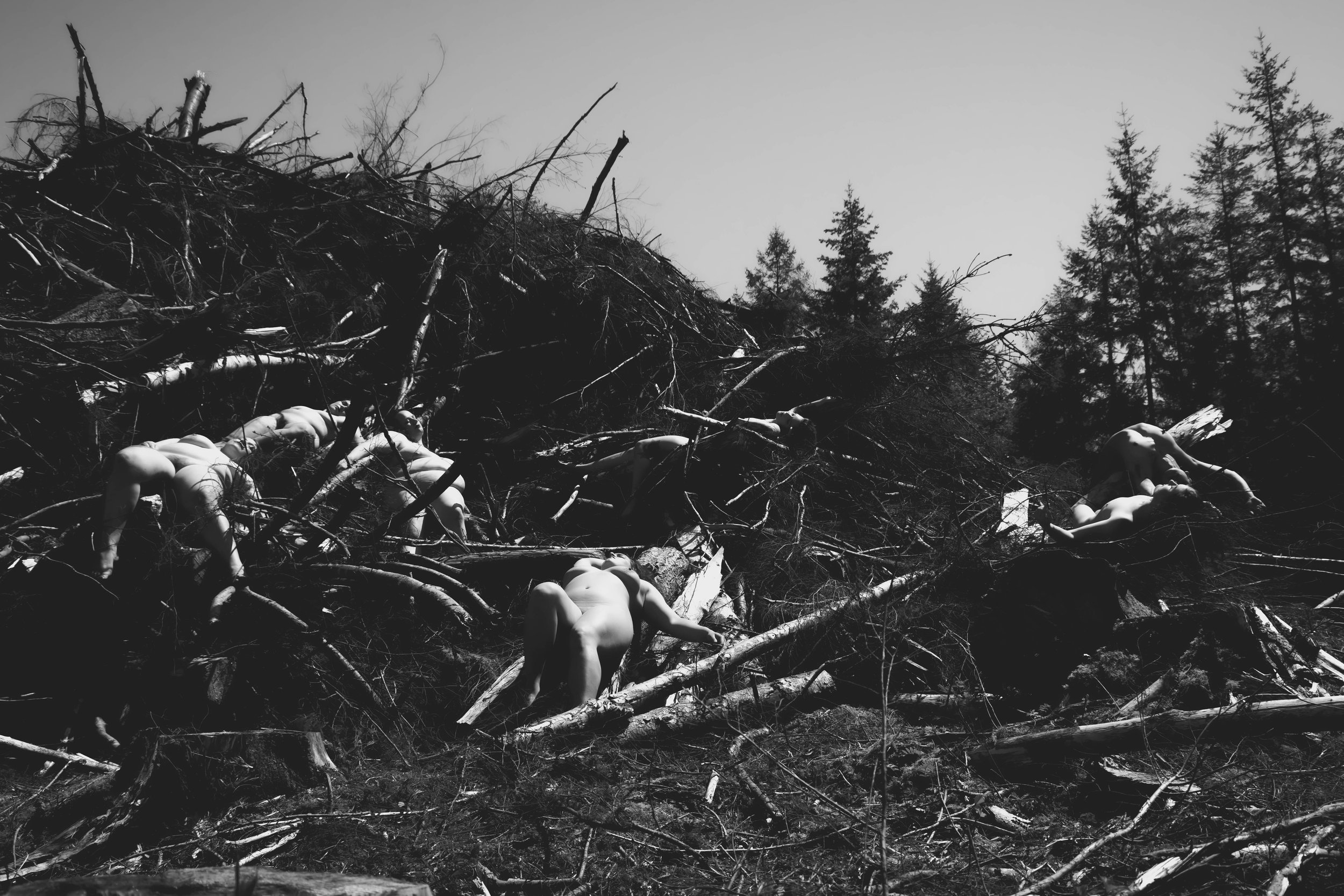 Barbedwire crown-21.jpg