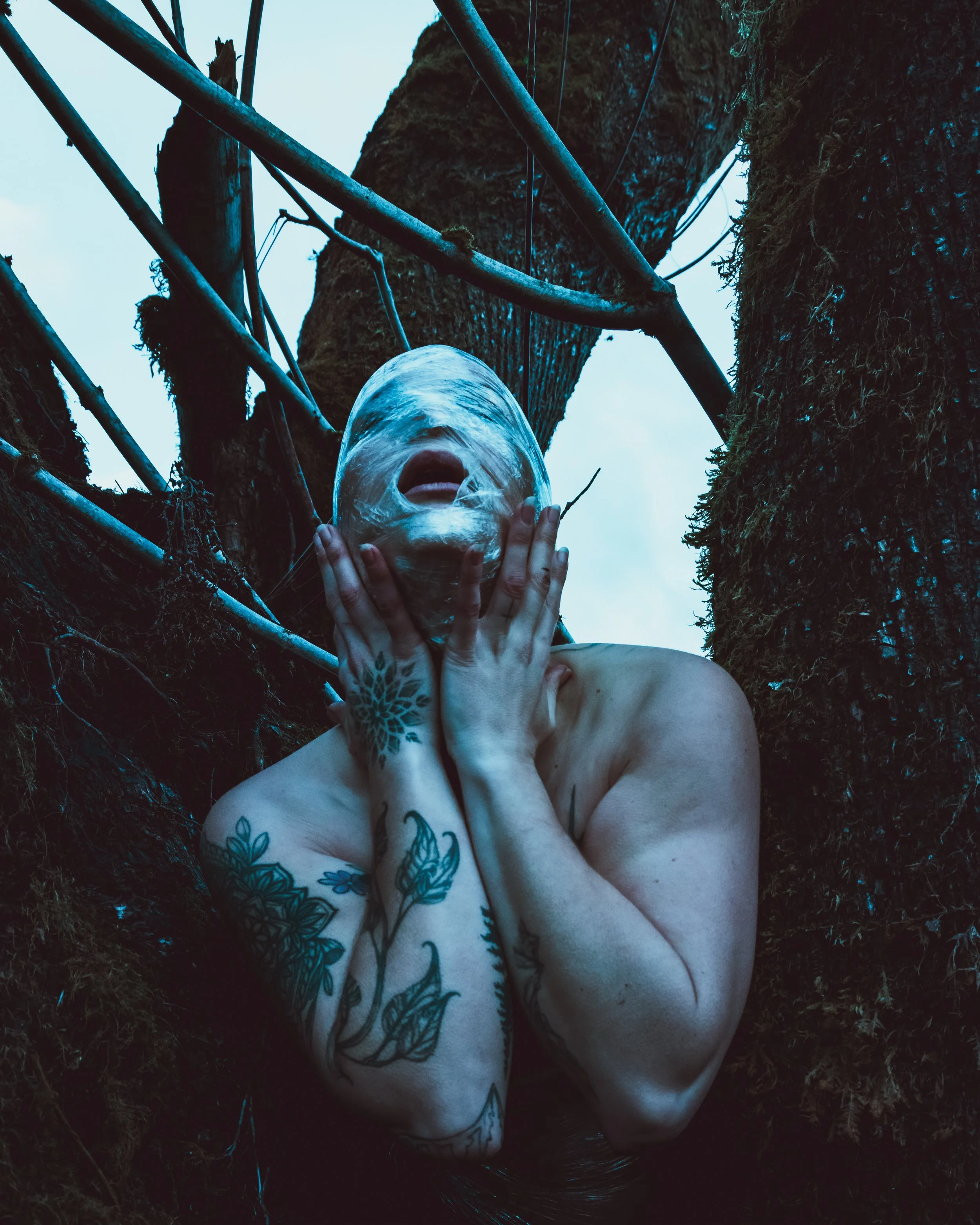 Saran Wrap Tree-30.jpg