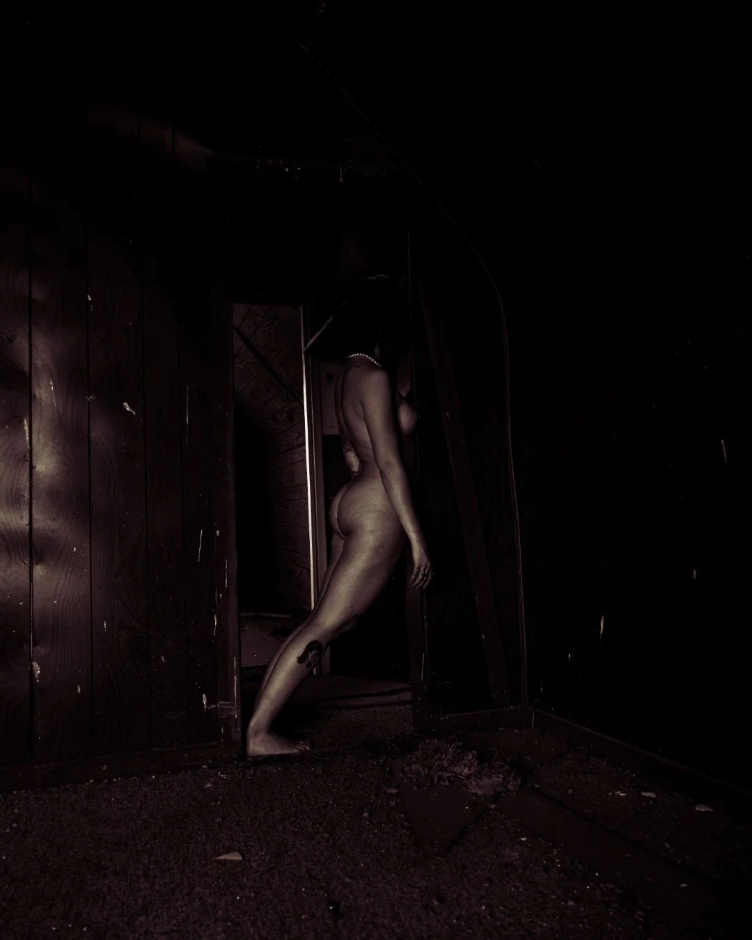 Morgan abandonded house-44 (Large).JPG