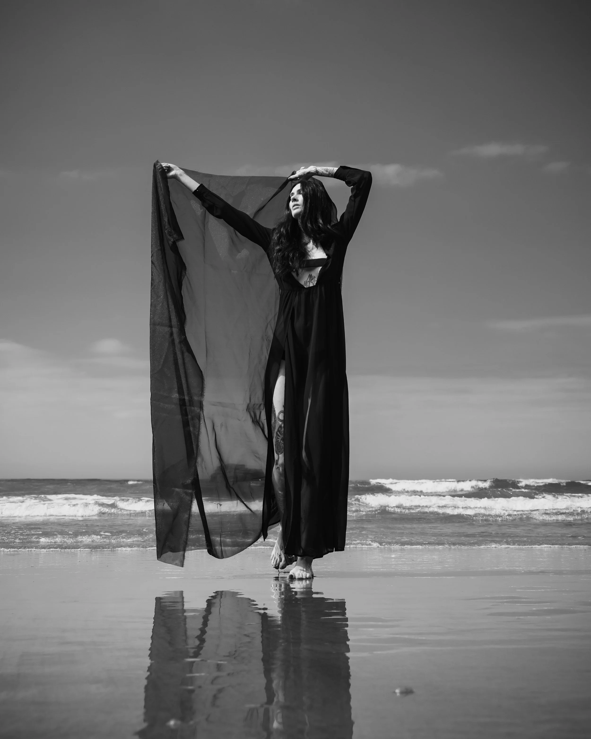 Rose Arcadia-27.JPG